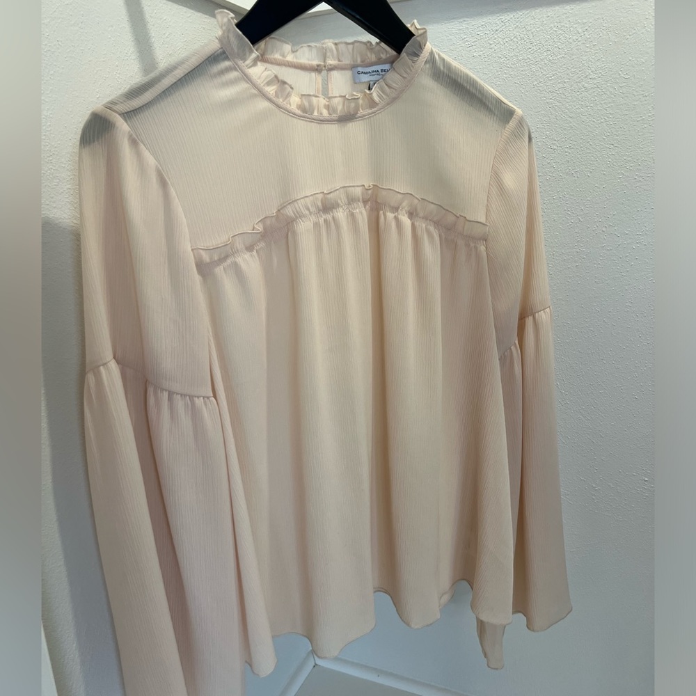 Carolina Belle: Sheer, Blush Blouse - Picture 1 of 4